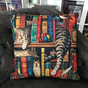 Das Produktbild zeigt ein Kissen, auf dem eine graue Katze zwischen Büchern in einem Regal schläft.